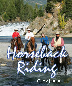 Horseback Riding Horseback Riding