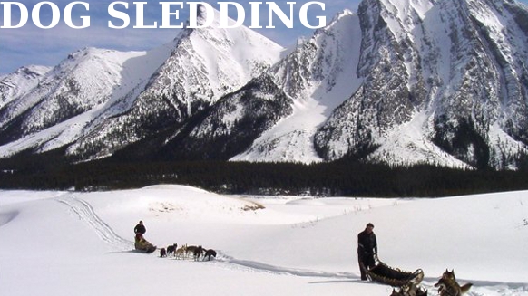 Canadian Rockies Adventures