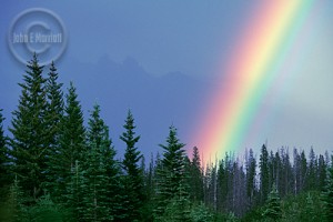 Mother Nature celebrates your honeymoon in Banff.