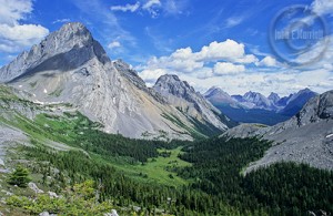 Imagine magestic mountain views for your wedding pictures. 