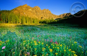 Discover the less traveled paths of Banff.