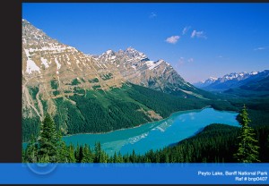 Outlook of Peyto Lake along the Icefields Parkway, Alberta, Canadian Rockies