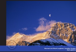 Guided tours can show hikers some of the best views in the Canadian Rockies.